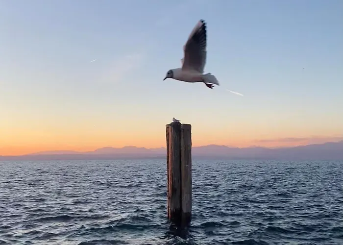 Casa Peppa דירה לאזיסה